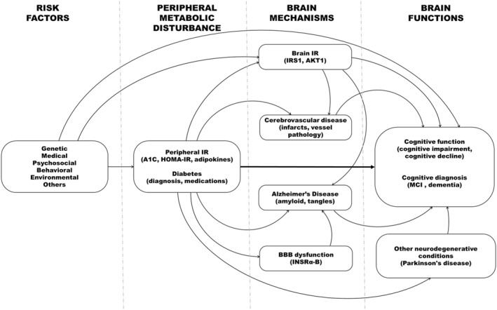 © 2025 The Author(s). Diabetes/Metabolism Research and Reviews published by John Wiley & Sons Ltd.
This is an open access article under the terms of the http://creativecommons.org/licenses/by-nc-nd/4.0/ License, which permits use and distribution in any medium, provided the original work is properly cited, the use is non‐commercial and no modifications or adaptations are made.